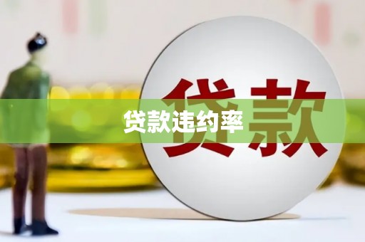 甘洛贷款违约率
