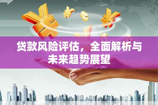 甘洛贷款风险评估，全面解析与未来趋势展望