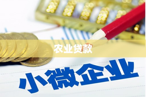 甘洛农业贷款