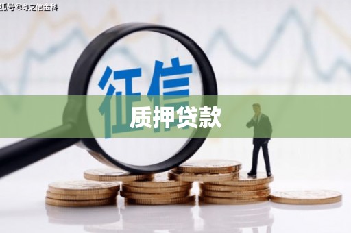 甘洛质押贷款