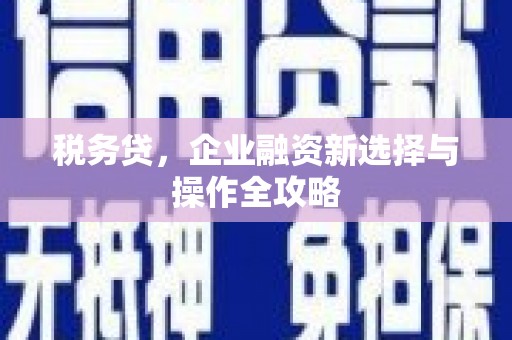 甘洛税务贷，企业融资新选择与操作全攻略