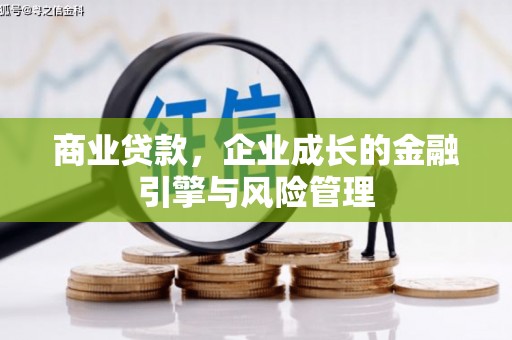 甘洛商业贷款，企业成长的金融引擎与风险管理