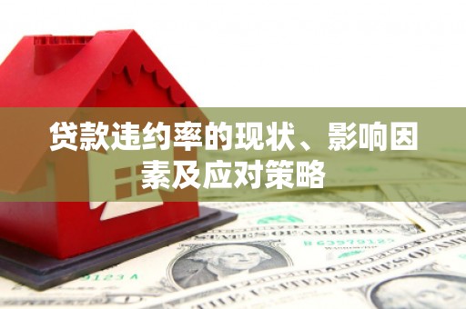 甘洛贷款违约率的现状、影响因素及应对策略