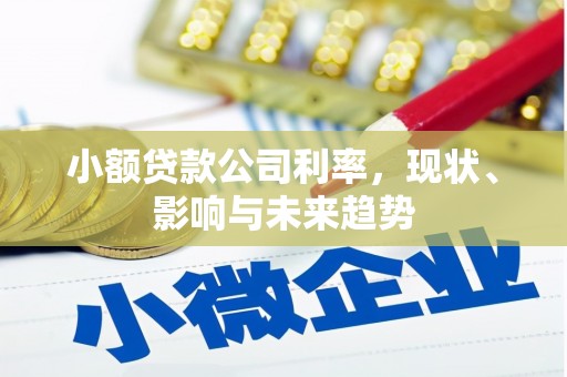 甘洛小额贷款公司利率，现状、影响与未来趋势
