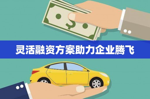 甘洛灵活融资方案助力企业腾飞