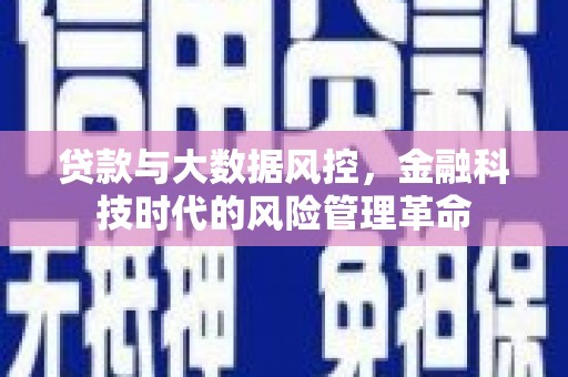 甘洛贷款与大数据风控，金融科技时代的风险管理革命