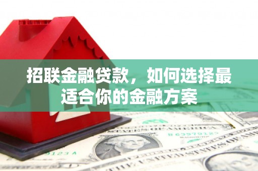 甘洛招联金融贷款，如何选择最适合你的金融方案
