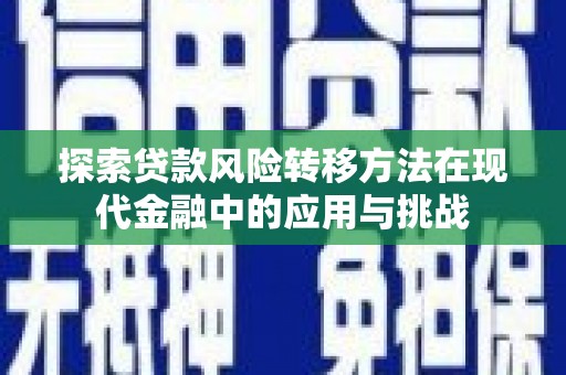 甘洛探索贷款风险转移方法在现代金融中的应用与挑战