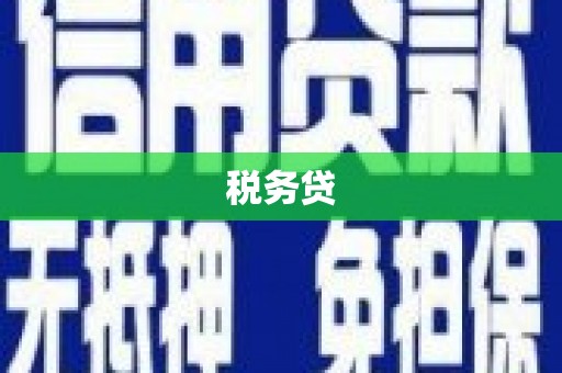甘洛税务贷