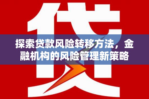 甘洛探索贷款风险转移方法，金融机构的风险管理新策略