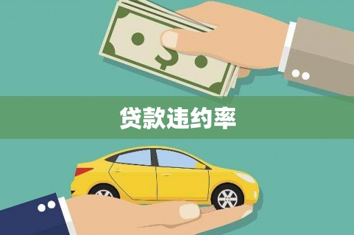 甘洛贷款违约率