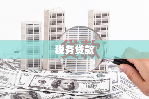 甘洛税务贷款