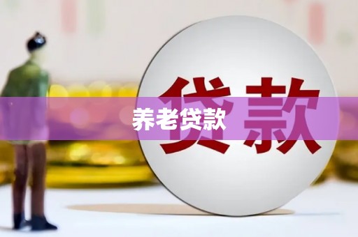 甘洛养老贷款