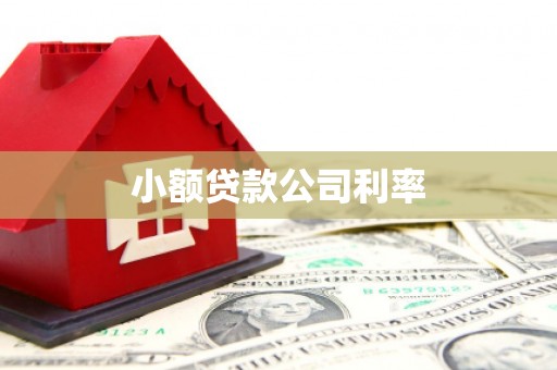 甘洛小额贷款公司利率