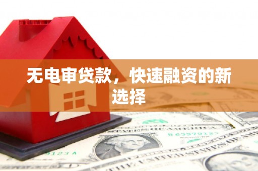 甘洛无电审贷款，快速融资的新选择