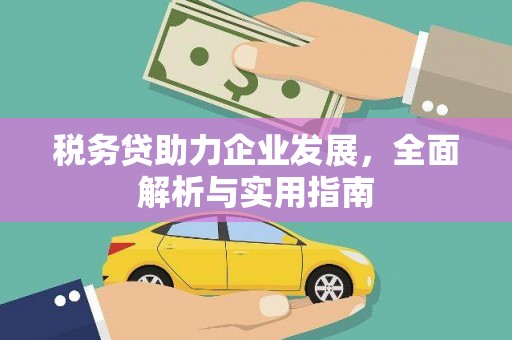 甘洛税务贷助力企业发展，全面解析与实用指南