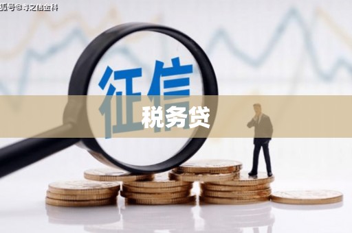 甘洛税务贷