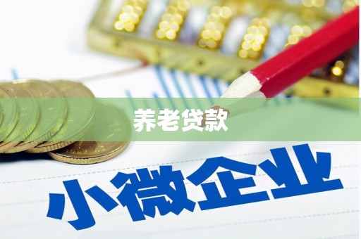 甘洛养老贷款