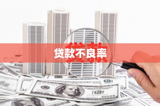 甘洛贷款不良率