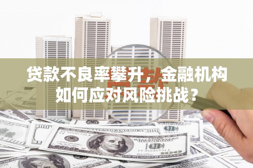 甘洛贷款不良率攀升，金融机构如何应对风险挑战？