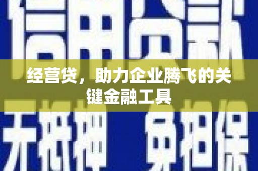 甘洛经营贷，助力企业腾飞的关键金融工具