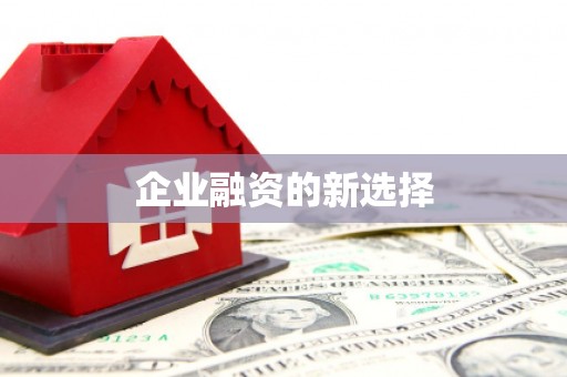甘洛企业融资的新选择