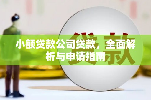 甘洛小额贷款公司贷款，全面解析与申请指南