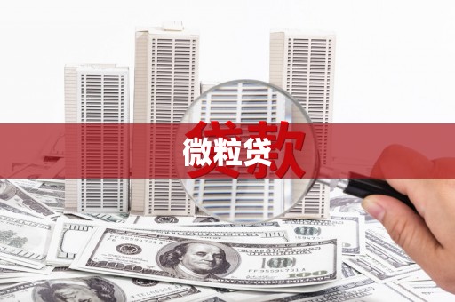 甘洛微粒贷
