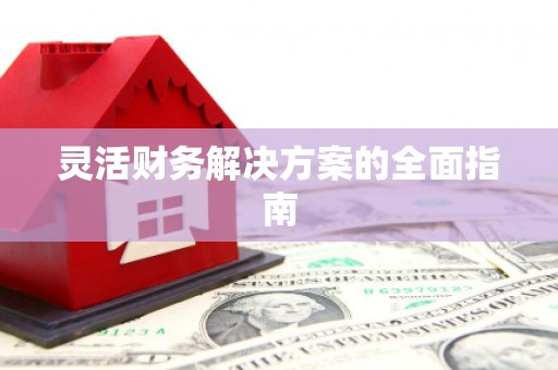 甘洛灵活财务解决方案的全面指南