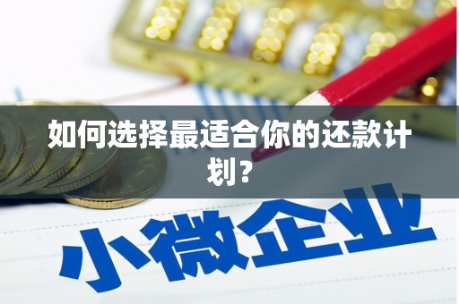 甘洛如何选择最适合你的还款计划？