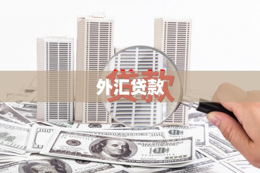甘洛外汇贷款