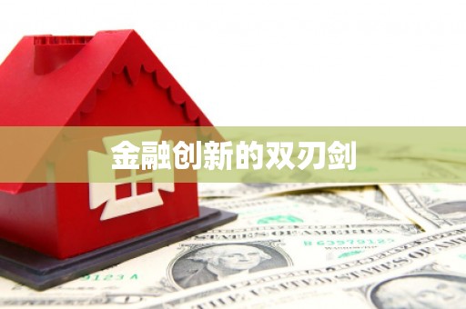 甘洛金融创新的双刃剑