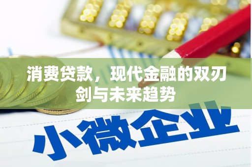甘洛消费贷款，现代金融的双刃剑与未来趋势