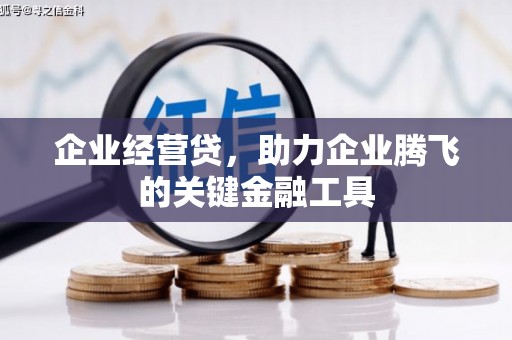 甘洛企业经营贷，助力企业腾飞的关键金融工具
