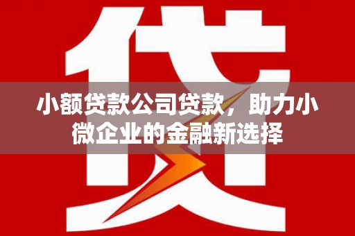 甘洛小额贷款公司贷款，助力小微企业的金融新选择