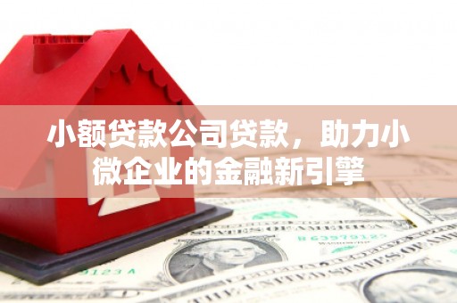 甘洛小额贷款公司贷款，助力小微企业的金融新引擎