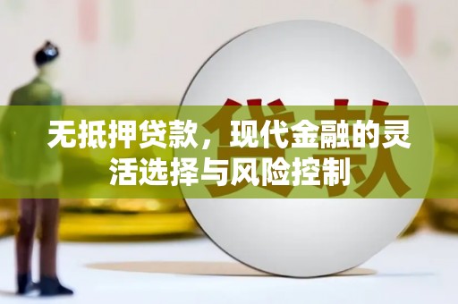 甘洛无抵押贷款，现代金融的灵活选择与风险控制