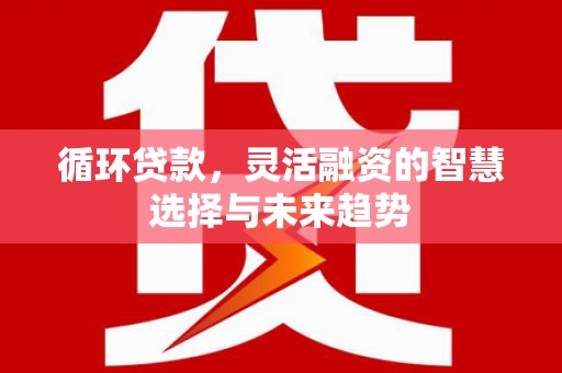 甘洛循环贷款，灵活融资的智慧选择与未来趋势
