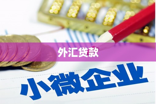 甘洛外汇贷款