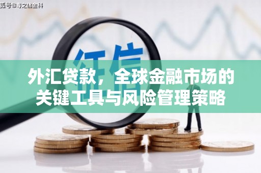 甘洛外汇贷款，全球金融市场的关键工具与风险管理策略