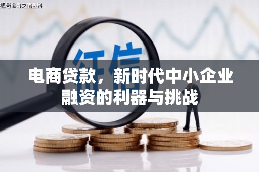 甘洛电商贷款，新时代中小企业融资的利器与挑战