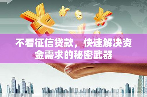 甘洛不看征信贷款，快速解决资金需求的秘密武器