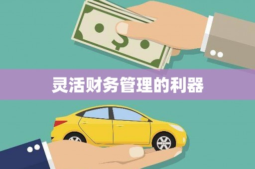 甘洛灵活财务管理的利器