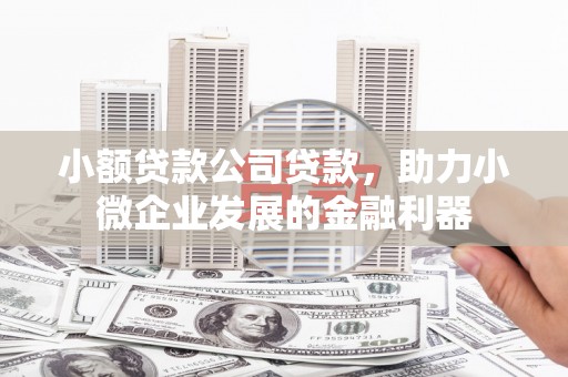 甘洛小额贷款公司贷款，助力小微企业发展的金融利器