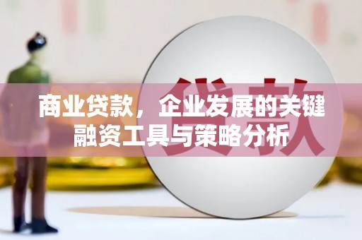 甘洛商业贷款，企业发展的关键融资工具与策略分析