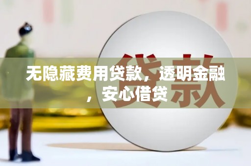 甘洛无隐藏费用贷款，透明金融，安心借贷