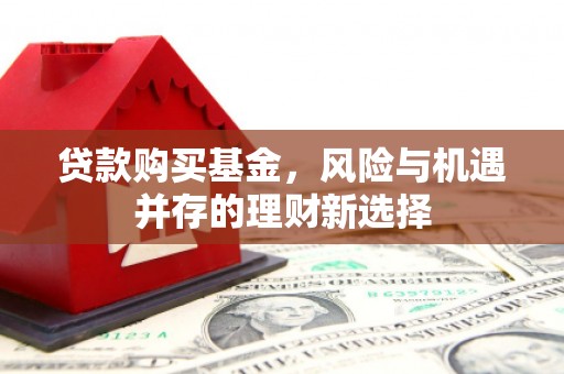 甘洛贷款购买基金，风险与机遇并存的理财新选择