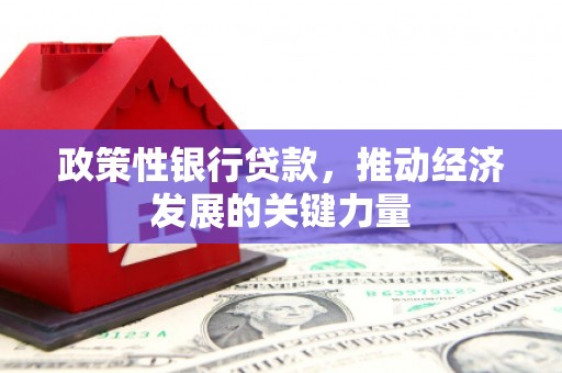 甘洛政策性银行贷款，推动经济发展的关键力量