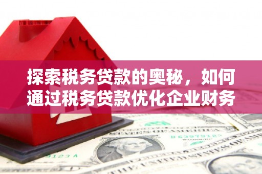 甘洛探索税务贷款的奥秘，如何通过税务贷款优化企业财务