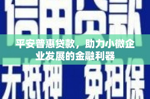 甘洛平安普惠贷款，助力小微企业发展的金融利器